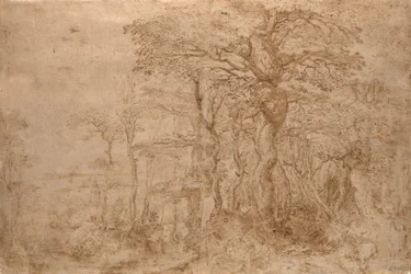 Paisaje silvestre con cinco osos